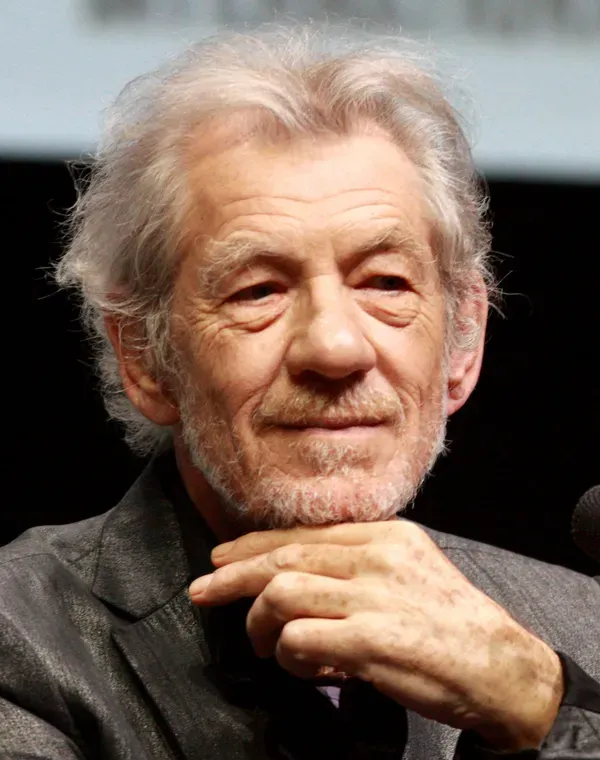 Ian McKellen as Magneto